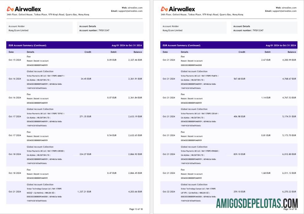 Extrato de conta limitado da Hong Kong Airwallex, 18 páginas 7 exemplo